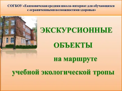 Наша Экологическая тропа | Детский сад №85 г. Гродно