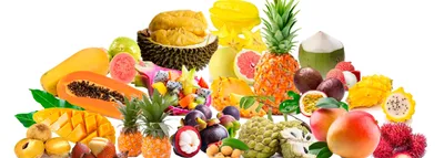 Экзотические фрукты оптом | G-KOM