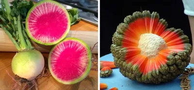 25 экзотических фруктов и овощей, которых не найдёшь в обычных  супермаркетах | Mixnews