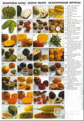 Пазл «Экзотические фрукты» из 320 элементов | Собрать онлайн пазл №119523