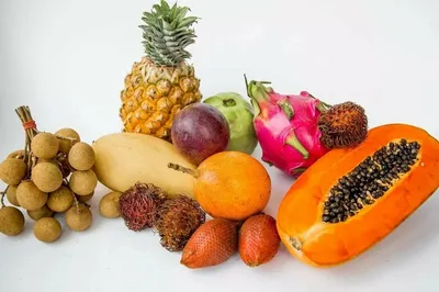 Импорт и экспорт экзотических фруктов и овощей