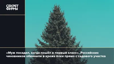 Елочка из детства или Первое задание проекта — \"Наша жизнь\"