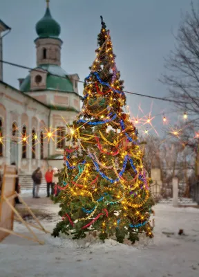 Искусственная елка Ель естественная - Рождественские украшения FairyTrees