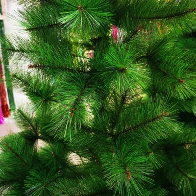 Искусственная елка, сосна новогодняя 210 см Улов 179425506 купить за 1 888  ₽ в интернет-магазине Wildberries