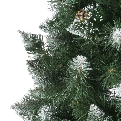 Ель или пихта — какое рождественское дерево выбрать? | Roslyny.com