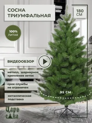 Купить ЁЛКА СОСНА искусственная с натуральными шишками 150 см по супер цене  в Челябинске | АБВМАРКЕТ