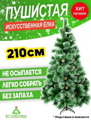 Новый год 2024: в каких цветах лучше наряжать елку к празднику новороссийцам