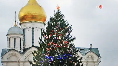 Патриаршая Рождественская елка в Кремле / Фотоальбомы / Патриархия.ru