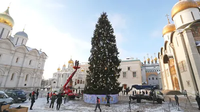 Детям большим и маленьким: Новогодняя ёлка в Кремле