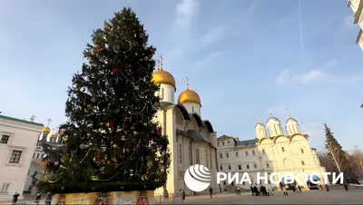 В Астраханском кремле начали собирать елку | АРБУЗ