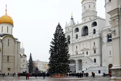 Новогодняя елка в Кремле, Москва | отзывы