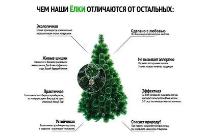 Купить Новогодняя Ель Гринч №4 — магазин цветов «Пыльца» г. Калуга