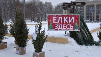 ЖК Ёлки-Park (Ёлки-Парк) в Кирове от Железно - цены, планировки квартир,  отзывы дольщиков жилого комплекса