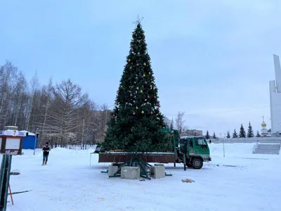 Кухня в Елки парк