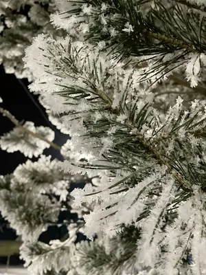 Изморозь Зимы И Рождества Заснеженные Елки На Склоне Горы. Mountain House  Зимой Фотография, картинки, изображения и сток-фотография без роялти. Image  17634935