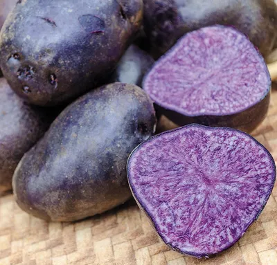 12 фактов о Фиолетовом картофеле. | Соседи по даче | Дзен