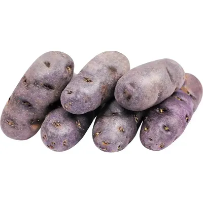 Фиолетовый картофель фото фото
