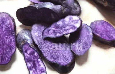 сырой фиолетовый картофель на белом фоне. закрытие верхнего вида Стоковое  Изображение - изображение насчитывающей питание, рынок: 225844439