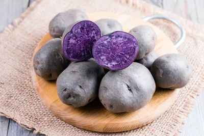 Фиолетовый картофель | 25 соток счастья! | Дзен
