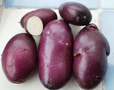 Вся правда о фиолетовой картошке: про ГМО, цвет и капризные сорта -  Рамблер/женский
