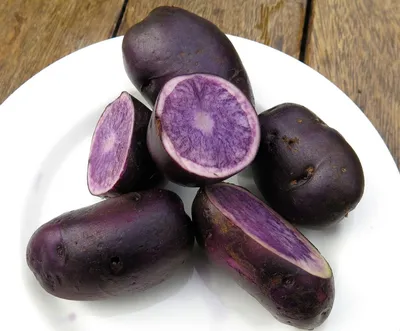 Доморощенный органический фиолетовый картофель вителотте пополам крупным  планом | Премиум Фото