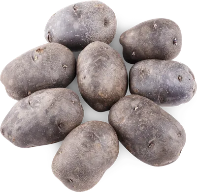 Купить клубни Фиолетовый картофель, Шведский, Blue of Sweden potatoes,  отзывы, описание, фото, характеристика