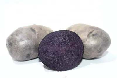 Фиолетовый картофель с имбирным соусом айоли, красочная закуска |  Терморецепты