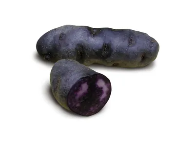 Картофель Салблю (Solanum tuberosum Salblue) - «Опыт выращивания  фиолетового картофеля в Западной Сибири. Как приготовить, чтобы сохранить  красивый цвет. Обновление отзыва в 2022 году. » | отзывы