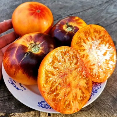 На зараженных фитофторой томатах есть визуально хорошие плоды. Можно ли  такие использовать для еды? - ответы экспертов 7dach.ru