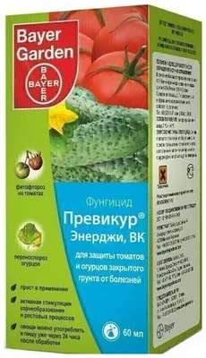 Эффективная система защиты картофеля от фитофтороза и альтернариоза |  «Сингента» в России