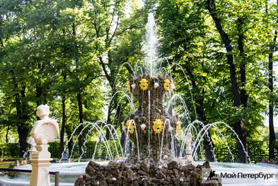 Экскурсия «Сады и парки Петербурга». с посещением Летнего сада и Русского  музея