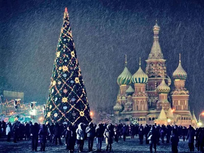 Новогодние елки Красной Площади Christmas trees on Red Square Stock Photo |  Adobe Stock