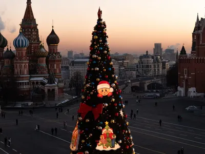 Мужчина попытался зажечь новогоднюю елку на Красной площади. В прямом  смысле слова