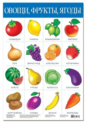 Игра на магнитах \"Фрукты, овощи, ягоды\" 24шт - купить с доставкой по  выгодным ценам в интернет-магазине OZON (178875607)