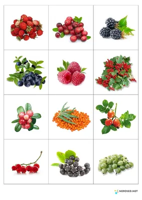 Комплект плакатов плоды Земли (4 плаката: Фрукты, Ягоды, Овощи, Грибы) Фгос  До – купить в Москве, цены в интернет-магазинах на Мегамаркет