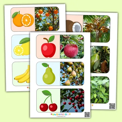 Найди звук в начале слова Овощи, фрукты, ягоды - звуковые игры Монтессори  купить и скачать