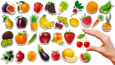 Овощи фрукты ягоды для детей | Овощи, Для детей, Ягоды