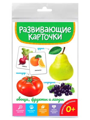 Магнитная книжка \"Маэстро Браво\" Овощи, фрукты, ягоды купить в ОГО! |  327466 | цена | характеристики