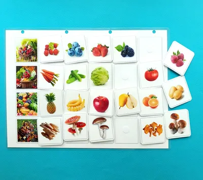 Иллюстрация 11 из 24 для Фрукты, овощи, ягоды и грибы. Развивающие карточки  | Лабиринт - игрушки. Источник:
