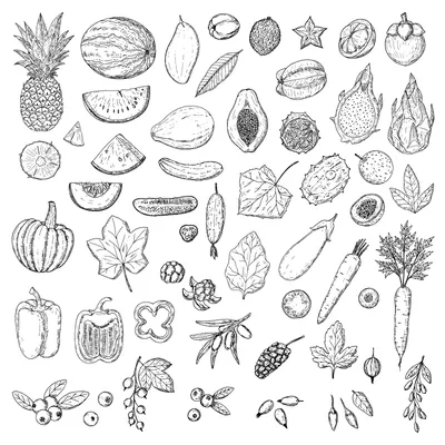 Сад органические овощи, ягоды, фрукты на серую фоне, представлении сверху  Концепция продуктов здорового питания вегетарианское ме Стоковое Фото -  изображение насчитывающей перец, еда: 198089666