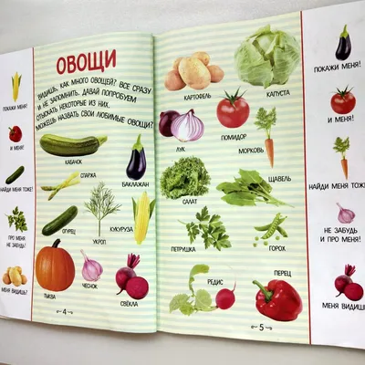 Ягоды, фрукты и овощи. Обучающие наклейки - купить с доставкой по выгодным  ценам в интернет-магазине OZON (264276405)