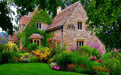 Как можно организовать красивый сад дома?