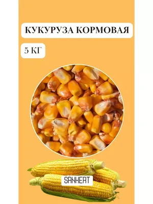 Зерно кукурузы Я для приготовления попкорна 500 г с бесплатной доставкой на  дом из «ВкусВилл» | Волгоград