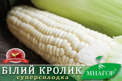 Кукуруза сахарная-зерна Novus замороженная 400г ❤️ доставка на дом от  магазина Zakaz.ua