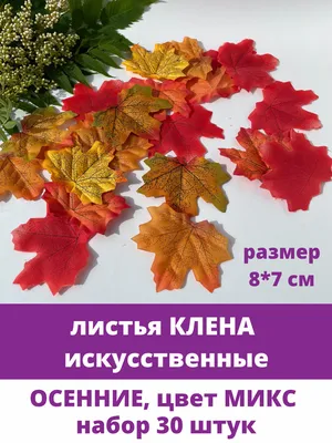 Мастер-класс по рисованию «Кленовый лист» (15 фото). Воспитателям детских  садов, школьным учителям и педагогам - Маам.ру