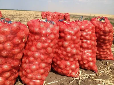 Мешок картошки сумка из мешковины, плотная тканая сумка для упаковки  продуктов, большая Джутовая сумка для хранения продуктов, сумка-Органайзер  | AliExpress