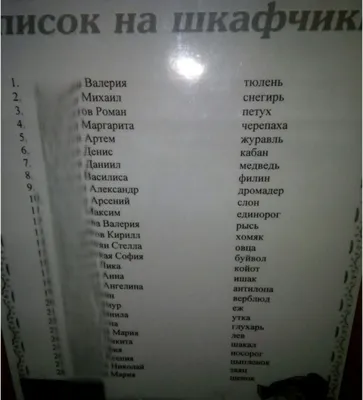 Варианты картинок для шкафчиков в детском саду, советы по выбору - ДиванеТТо