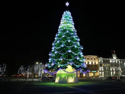 Новогодние елки устанавливают на улицах Волгограда | 10.12.2022 | Волгоград  - БезФормата