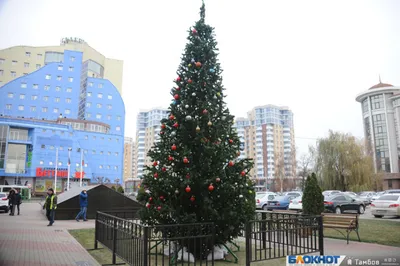 В новогоднюю ночь на Театральной площади Курска пройдет праздничная  программа | ГТРК «Курск» - Новости Курска и Курской области | 21180