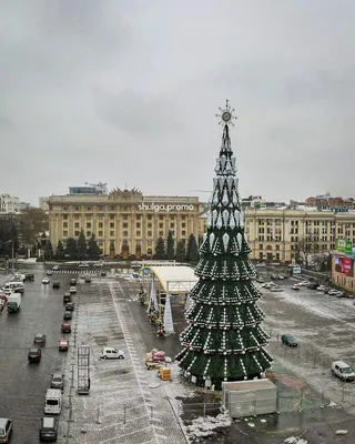 Главную елку страны зажгут в Минске раньше обычного - 06.12.2023, Sputnik  Беларусь